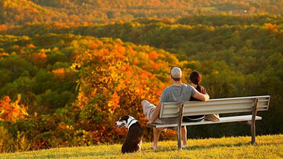 Garden of the Gods Recreation Area has colorful foliage that's set ablaze in rich hues of orange, yellow, and red during the fall season.