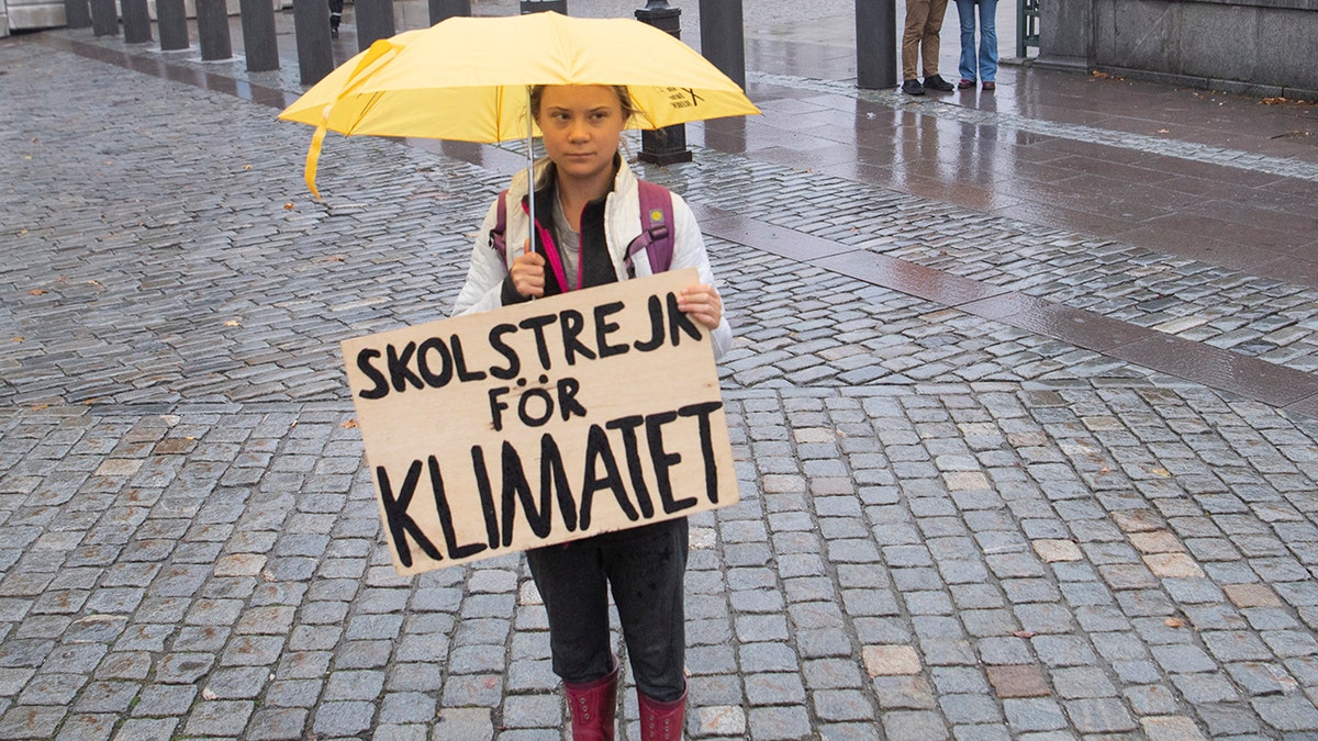 TOPSHOT - Swedish climate activist Greta Thunberg stands with an umbrella as she protests with her placard reading "School strike for climate"