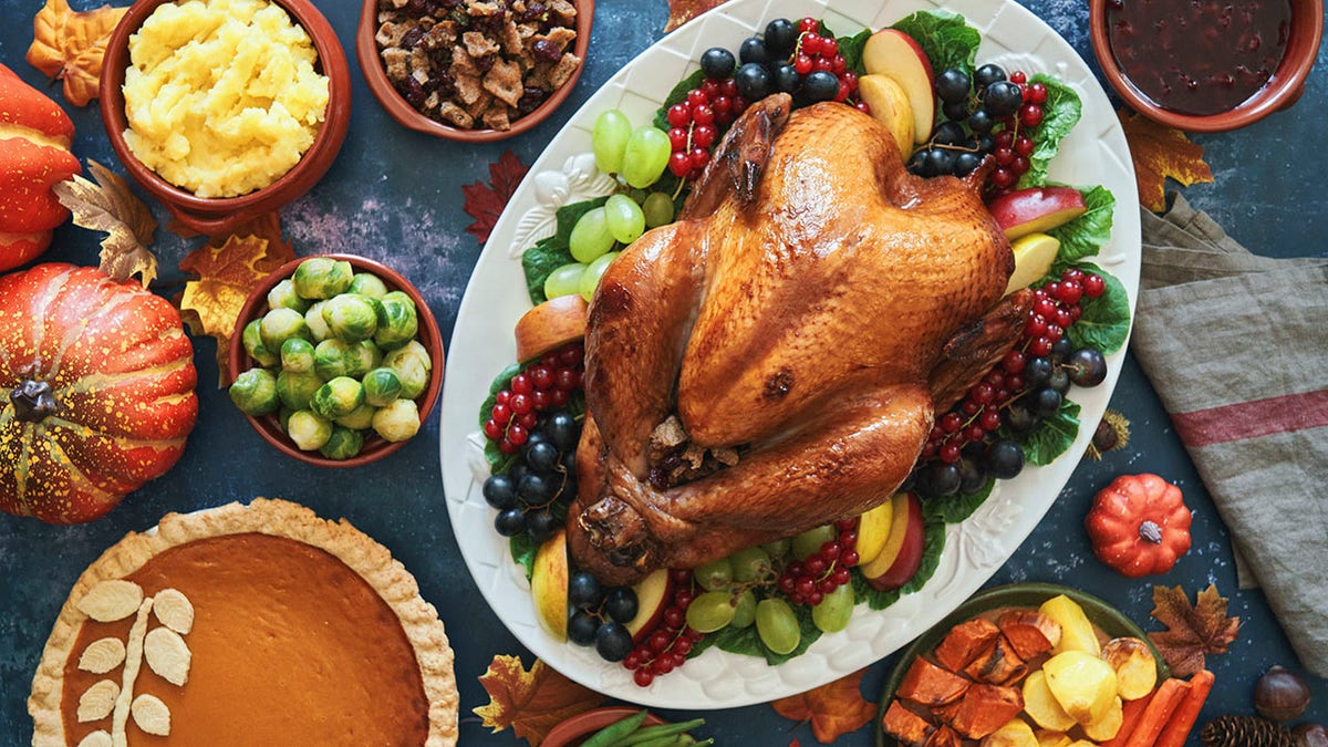 Stuffed Turkey for Thanksgiving Holidays