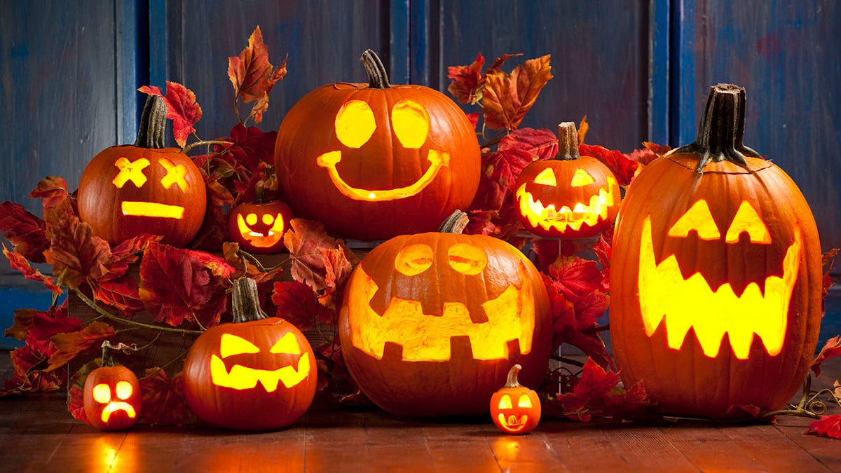 Halloween Jack-o-Lantern Pumpkins