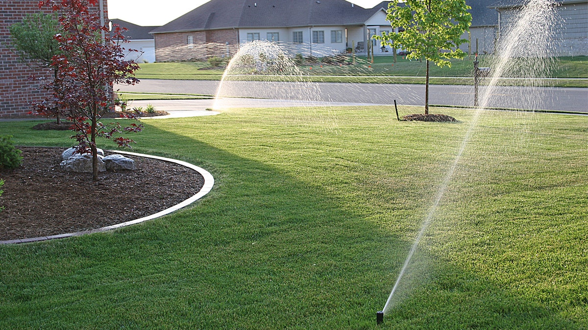 sprinkler lawn