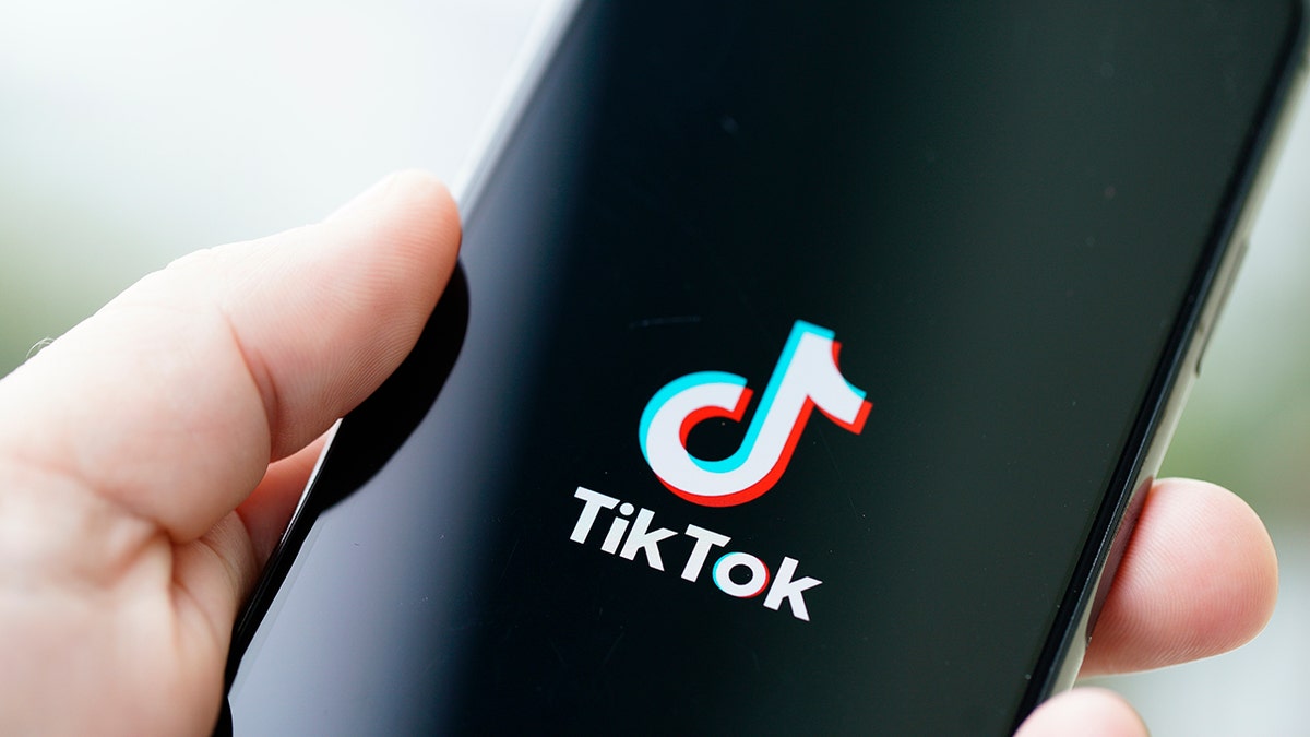 TikTok app on smartphone 