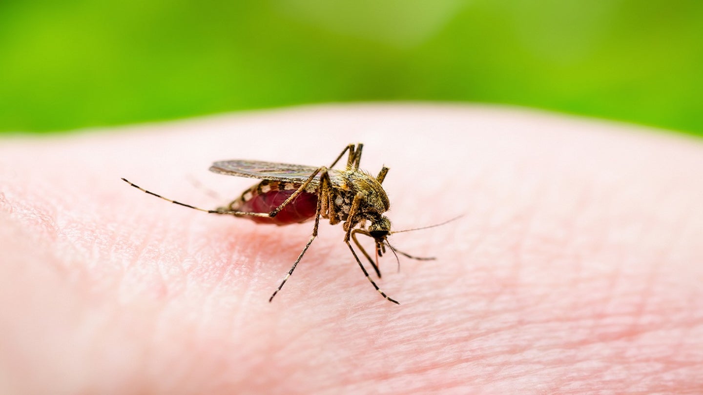 Eastern Equine Encephalitis Spreads to Sudbury, Vermont, Prompting Health Precautions