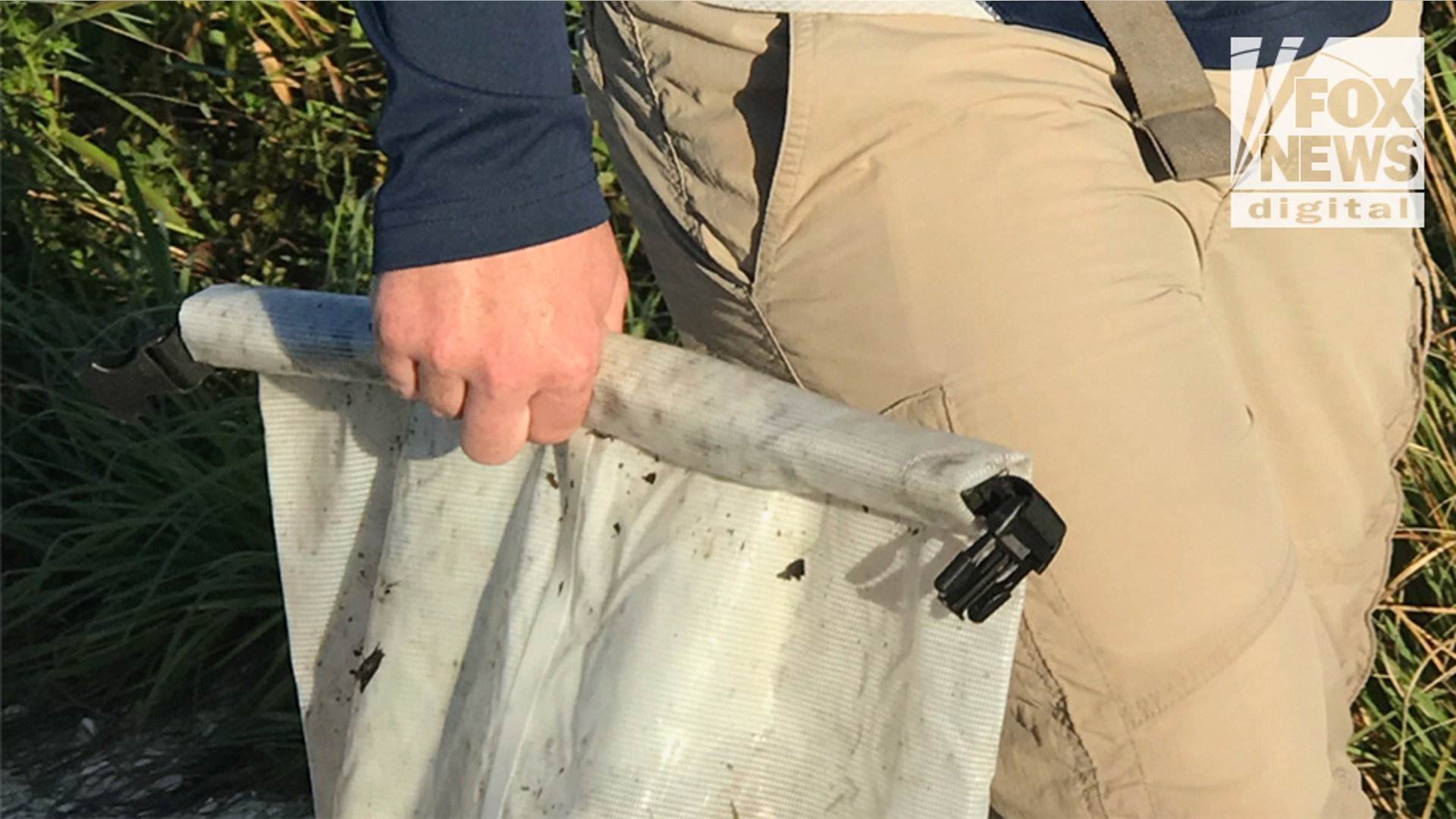 Images obtained exclusively by Fox News show Chris and Roberta Laundrie in the  Myakkahatchee Creek Environmental Park with at least one law enforcement officer on Wednesday