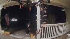 Pumpkin thief caught on homeowner's doorbell camera in Washington