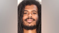 Home intruder attacked and killed by Georgia homeowner's dogs, investigators say