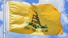 DeSantis' new Gadsden flag Florida license plate 'symbolizes a dangerous far-right extremist ideology:' NPR