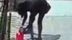 Suspect in arson outside New York Jewish school nabbed, police say