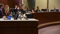 Virginia parents protest critical race theory outside Loudoun County School Board meeting