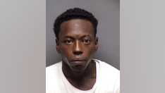 Texas man arrested for allegedly torturing a child's hamster, facing up to 25 years in prison: police