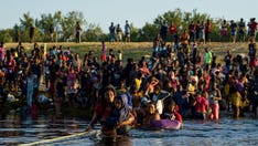 UN experts criticize US for deportation of Haitian migrants, allege 'racialized exclusion'