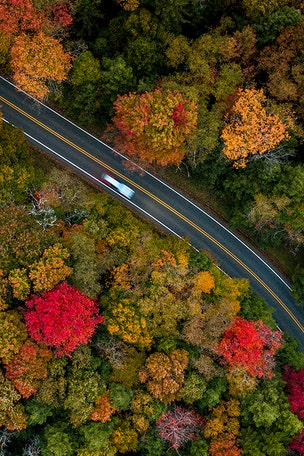 Best drives for fall FOLIAGE