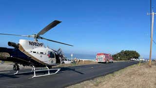 California surfer suffers ‘critical’ injuries in shark attack off coast: report