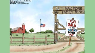 Political cartoon of the day: US is selling the farm