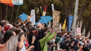 Climate protesters swarm White House, vandalize Jackson statue, warn Biden