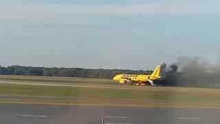 Spirit Airlines plane struck by bird during takeoff at New Jersey airport, sparking a fire