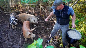 Is there a constitutional right to food? Mainers to decide