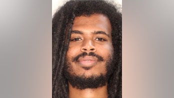 Home intruder attacked and killed by Georgia homeowner's dogs, investigators say