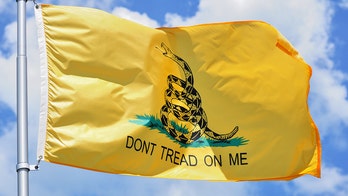 DeSantis' new Gadsden flag Florida license plate 'symbolizes a dangerous far-right extremist ideology:' NPR