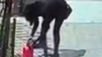 Suspect in arson outside New York Jewish school nabbed, police say