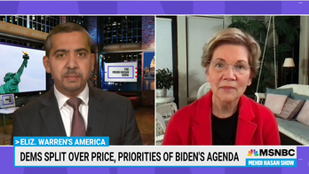 MSNBC host to Elizabeth Warren: Should some Facebook officials face 'criminal investigations?'