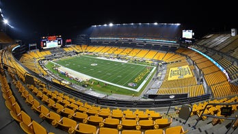 Steelers, officials investigate ashes-spreading incident at Heinz Field