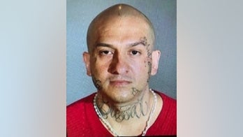 Los Angeles homicide suspect killed by officers on freeway