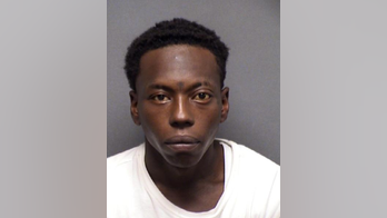 Texas man arrested for allegedly torturing a child's hamster, facing up to 25 years in prison: police