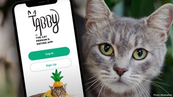 Happy National Cat Day: There’s a new dating app for ‘cat-forward lifestyle'