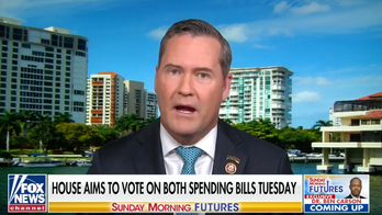 Rep. Waltz slams US companies 'drunk on Chinese money,' says they pose serious threat to America