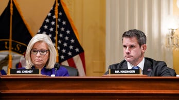 New York Times editorial writer hails 'Republicans we're thankful for': Liz Cheney, Adam Kinzinger among