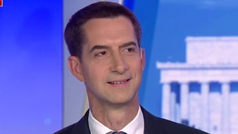 Tom Cotton uses Schumer's own words in defense of the filibuster on Senate floor