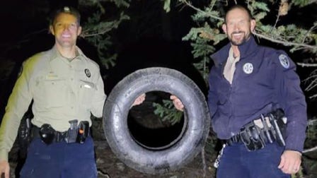 Wild elk has tire removed from around its neck after 2 years