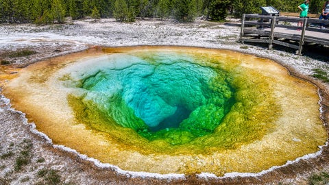Woman burned chasing dog into scalding hot spring at Yellowstone National Park