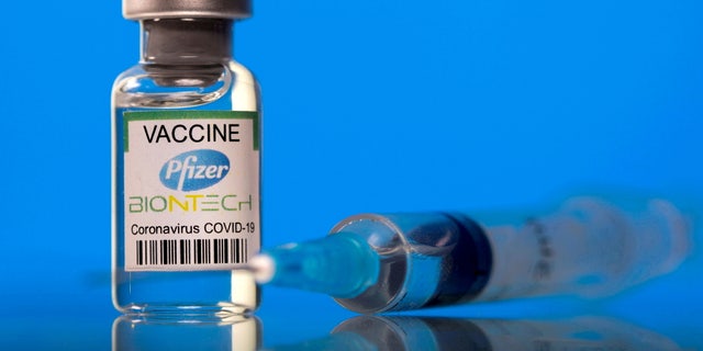 FILE PHOTO: A vial labelled with the Pfizer-BioNTech coronavirus disease (COVID-19) vaccine is seen in this illustration picture taken March 19, 2021. REUTERS/Dado Ruvic/File Photo/File Photo