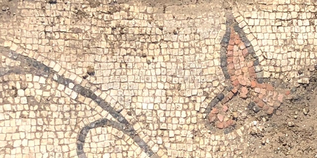 Byzantine mosaics with vine and leaf design, likely part of the reconstruction of the church floor. Photo credit: R. Steven Notley.