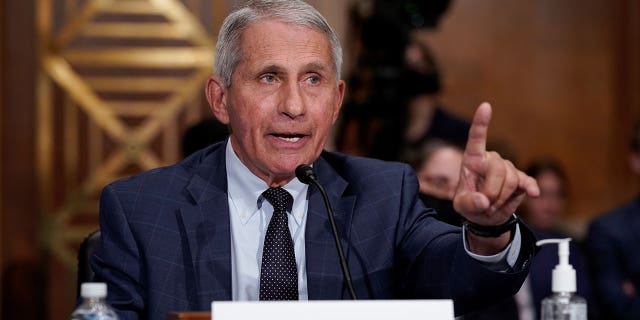 "My — I mean, I'm thinking back, then, my — my opinion of the effect of hydroxychloroquine was based on accumulating data from a number of studies. I don't recall specifically what those studies are now," Fauci said.