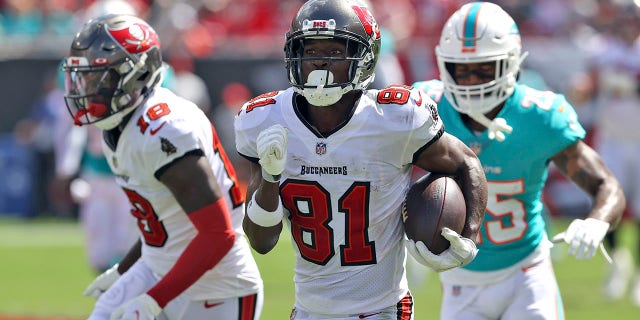 Tampa Bay Buccaneers wide receiver Antonio Brown (81) heads for a score on a 62-yard touchdown reception during the first half of an NFL football game against the Miami Dolphins Sunday, Okt.. 10, 2021, in Tampa, Fla.