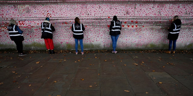 자원봉사자들이 2021년 10월 15일 금요일 런던 웨스트민스터의 코로나19 추모벽에서 일하고 있다. 