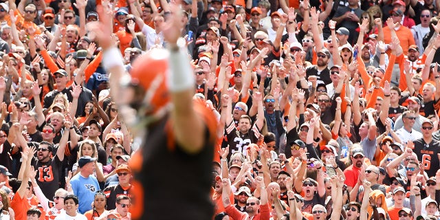 CLEVELAND, OH - SEPTEMBER 8, 2019: Cleveland Browns fans and quarterback Baker Mayfield #6 of the Cleveland Browns celebrate after a rushing touchdown by Dontrell Hilliard in the first quarter of a game against the Tennessee Titans on September 8, 2019 at FirstEnergy Stadium in Cleveland, Ohio. Tennessee won 43-13.