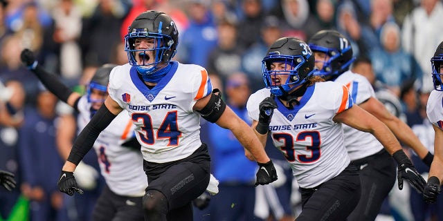 Boise State safety Alexander Teubner (34) celebrates a BYU fumble recovery in the first half during an NCAA college football game Saturday, Oct. 9, 2021, in Provo, Utah.