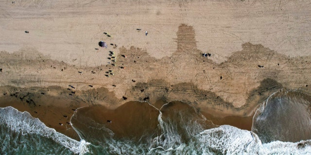 In this aerial image taken with a drone, beach goers are seen as workers in protective suits continue to clean the contaminated beach in Huntington Beach, Calif., Monday, Oct. 11, 2021. Huntington Beach reopened its shoreline this morning after water testing results came back with non-detectable amounts of oil associated toxins in ocean water, city officials and California State Parks announced.