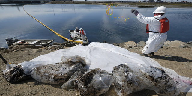 Cleanup contractors collect oil in plastic bags trying to stop further oil crude incursion into the Wetlands Talbert Marsh in Huntington Beach, Calif., on Sunday.