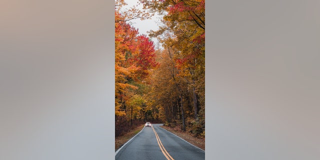 The best time to see fall foliage in South Carolina is mid-October through mid-November. (DiscoverSouthCarolina.com)