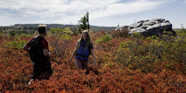 Dolly Sods Wilderness is a 17,371-acre recreation area within the Monongahela National Forest.
