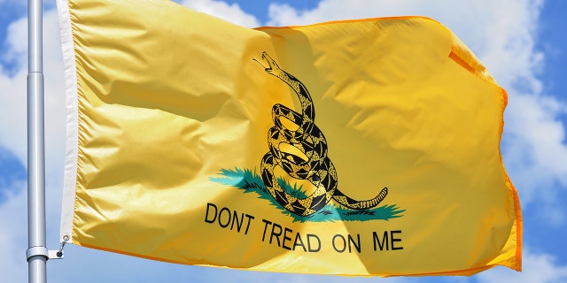 Don't Tread On Me Flag