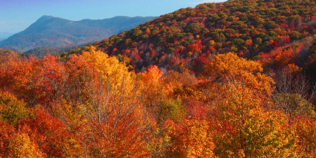 Elk Knob State Park is where you can scope out Mount Jefferson, Grandfather Mountain, Mount Mitchell, and the Iron Mountains of Virginia and Tennessee.