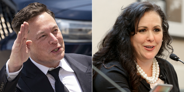 Elon Musk became a target of California Assembly member Lorena Gonzalez after he complained about California's coronavirus restrictions aimed at businesses.