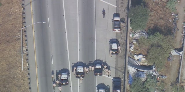 A homicide suspect was shot and killed on a Los Angeles freeway on Tuesday morning. 