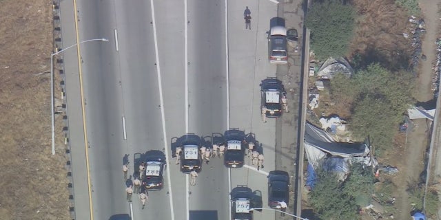 A murder suspect was shot dead Tuesday morning on a highway in Los Angeles.